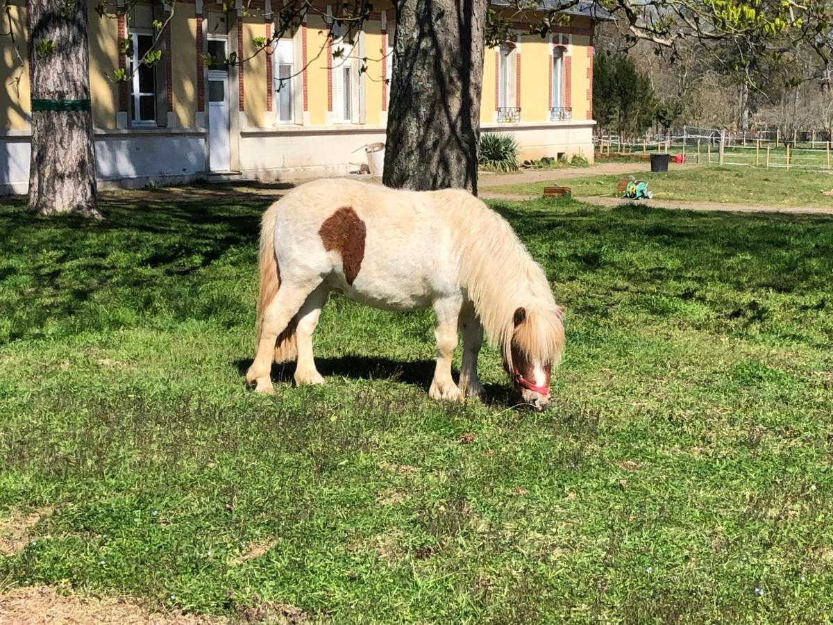 Gite Du Campagnard Du Chateau De La Bouchatte Chazemais المظهر الخارجي الصورة