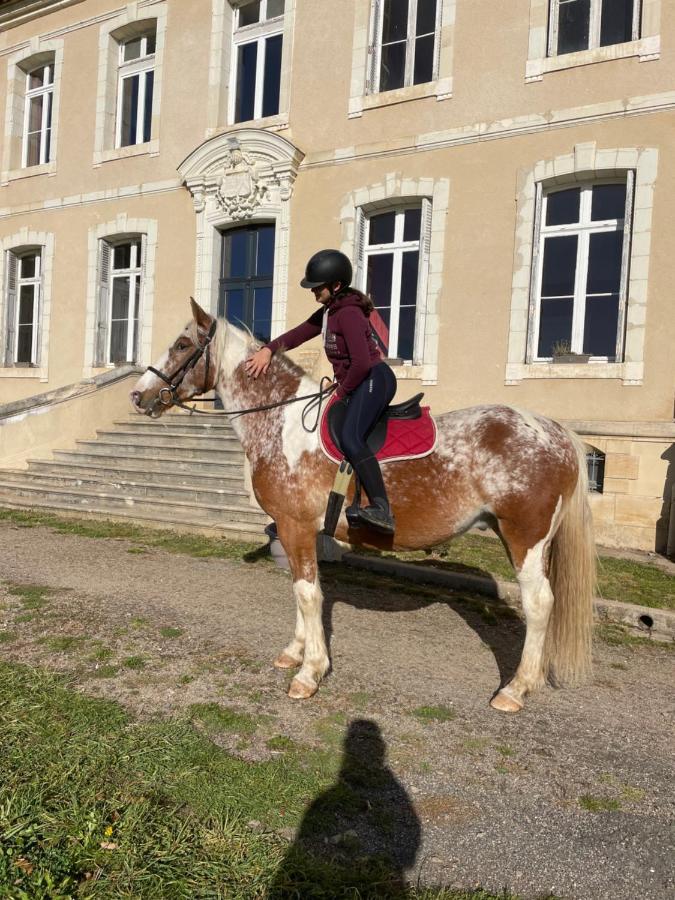 Gite Du Campagnard Du Chateau De La Bouchatte Chazemais المظهر الخارجي الصورة